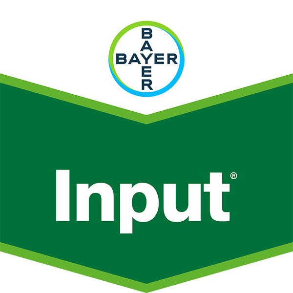 Brand tag Input from Bayer